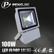 Waterproof on Sale OEM LED Floodlight for Garden Lamp